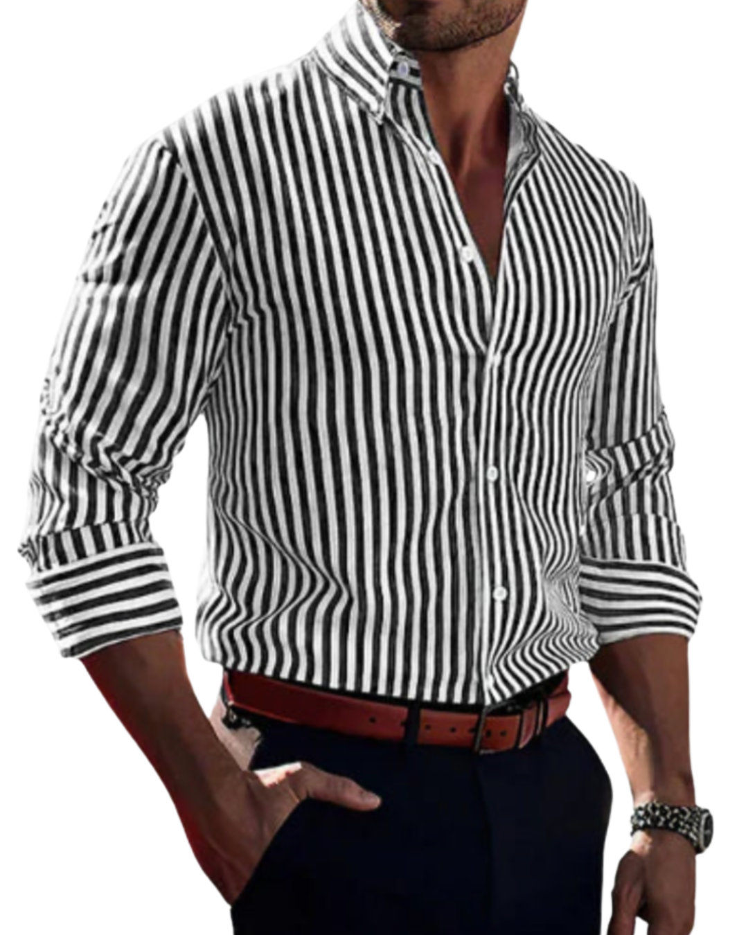 Роан | Риза с изразителни ивици