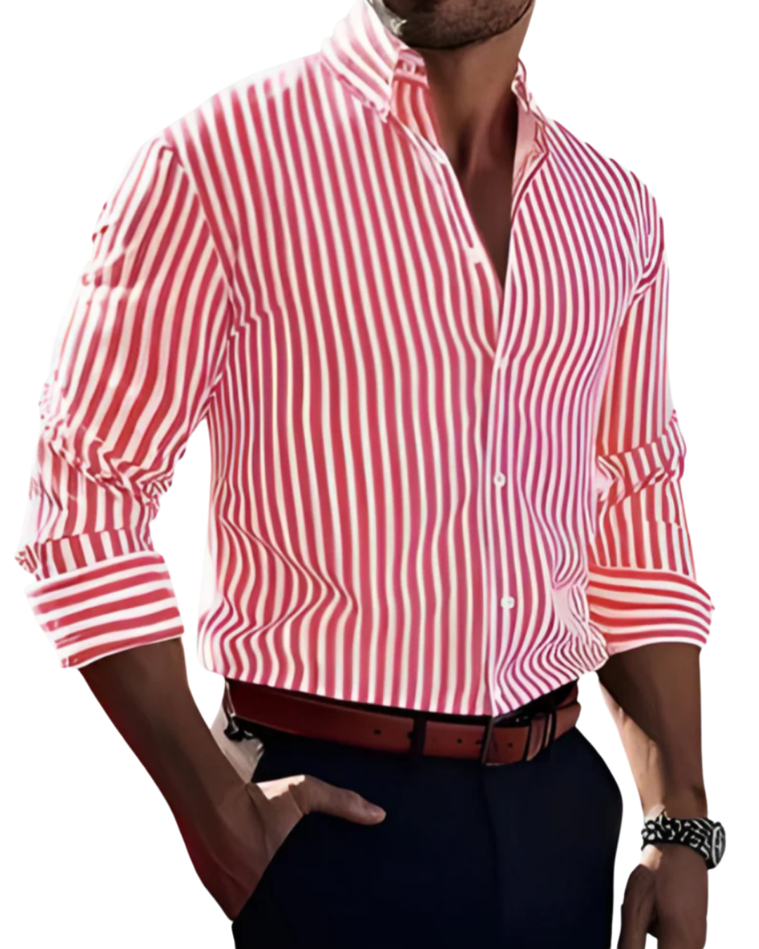 Роан | Риза с изразителни ивици